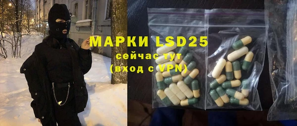 2c-b Горнозаводск